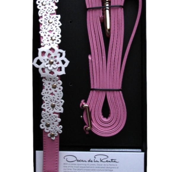 Pink do collar and leash